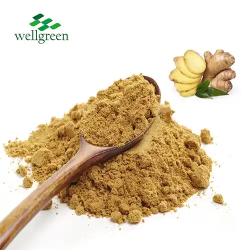 Ginger Extract Powder